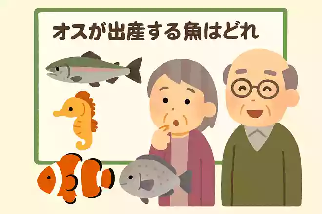 オスが出産する魚はどれでしょうか?