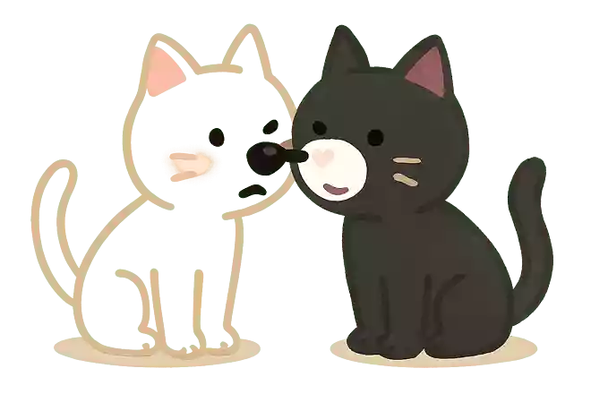 白猫黑鼻子, 黑猫白鼻子。黑猫的白鼻子,碰破了白猫黑鼻子,白猫的黑鼻子破了。