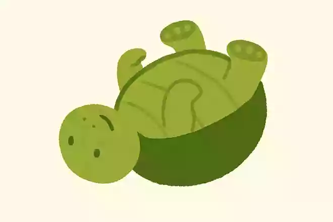 ひっくりかえると、かるくなるどうぶつなーんだ?NEW!