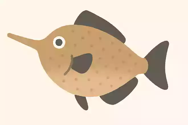 ナガハギ