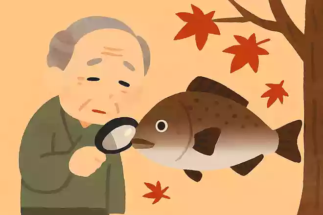 江戸時代に食べることが禁止されていた、秋が旬の魚はいったい何でしょうか？