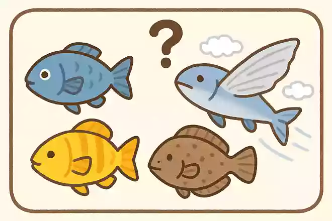 さかななのにとべるさなかは次のうちどれでしょうか?