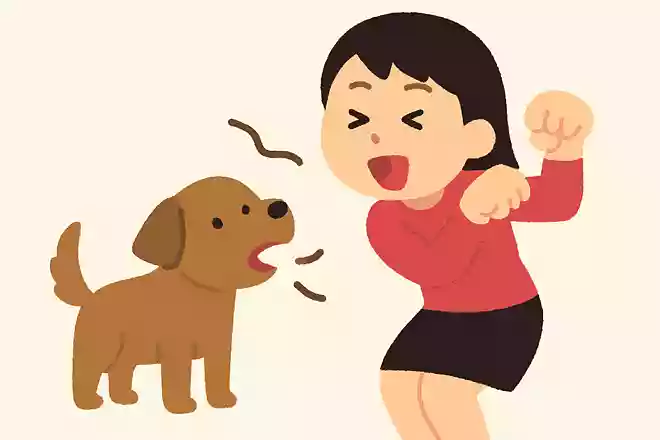 ちょっとだけ吠える犬