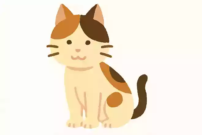 ミケリス