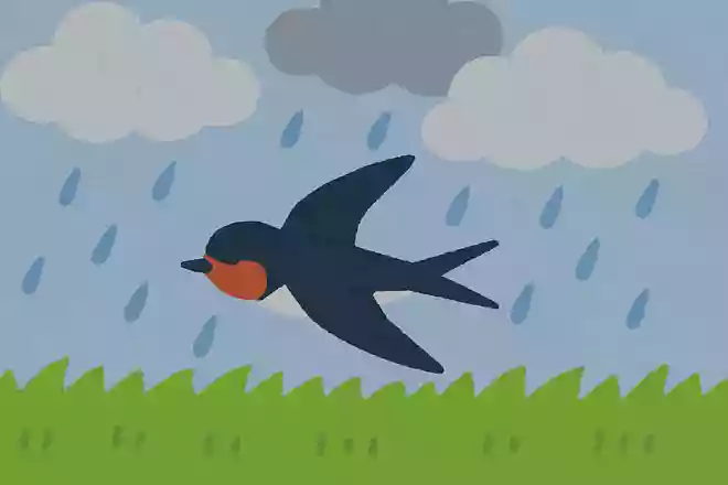 ツバメが低く飛ぶと雨が降るNEW!