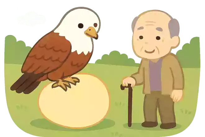 トビが〇〇を生む