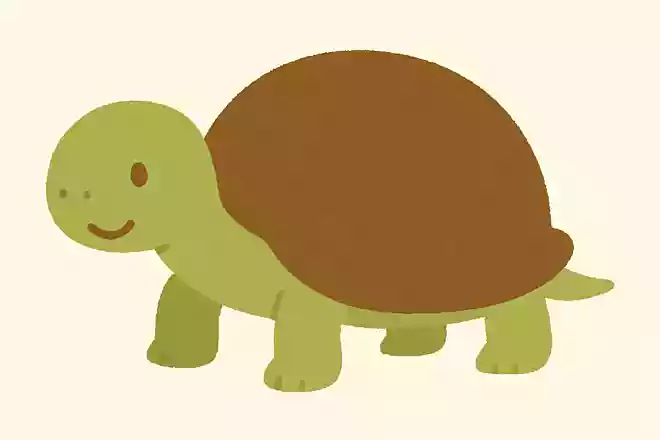 からだにこうらがあっててやあしをかくせる、ゆっくり歩くいきものは?