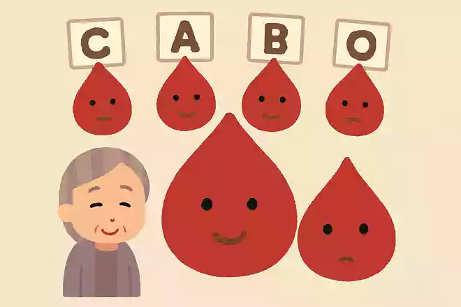 世界で一番多い血液型は？