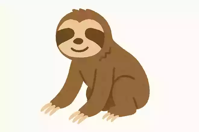 「樹懶」はなんの動物でしょう?