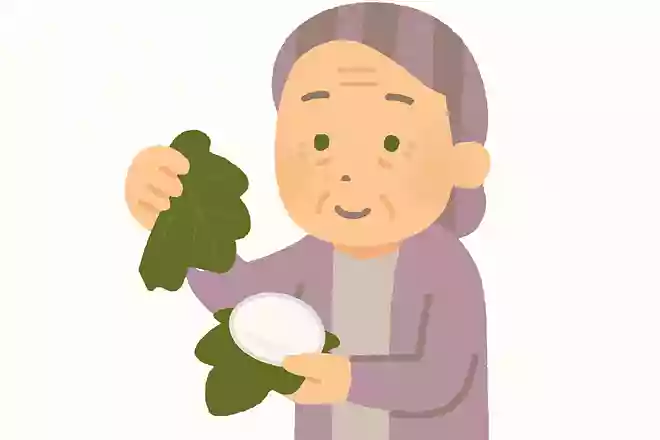 折りし皮 ひとりで開く 柏餅