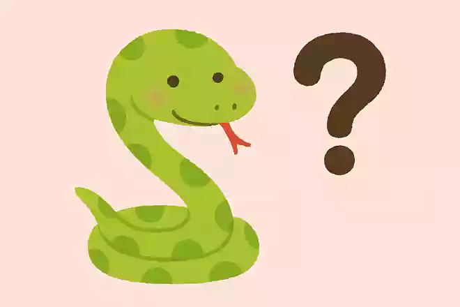 世界中にヘビは何種類生息しているでしょうか?