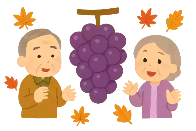 ぶどう一房の、枝から順に「上」「中心」「下」最も甘い部分はどこになるでしょうか?