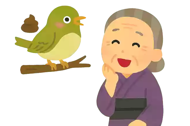江戸時代、ウグイスの糞は何に利用されていたでしょうか?