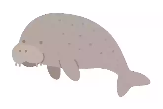 「儒艮」はなんの動物でしょう?
