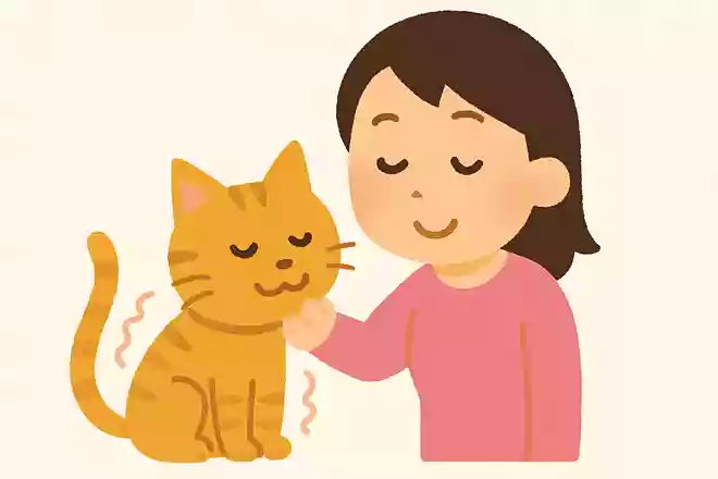 猫が喉を鳴らす「ゴロゴロ音」聞いた人間にはどんな効果がある?