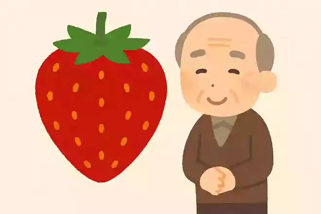 新潟県の「越後姫」。何の果物?