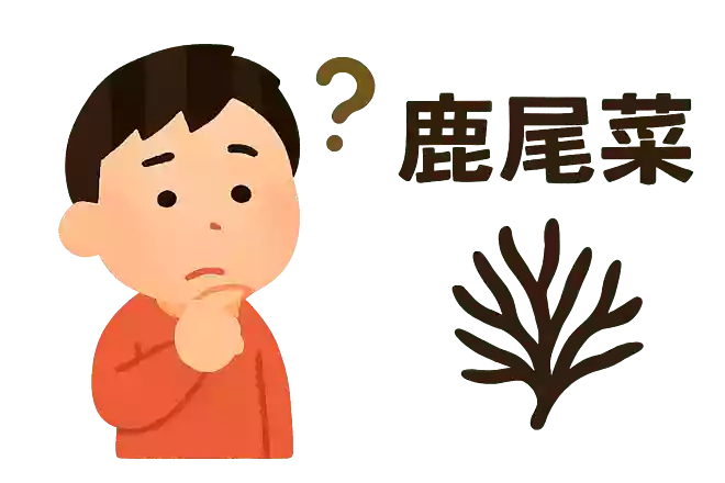 「鹿尾菜」はなんと読むでしょうか?