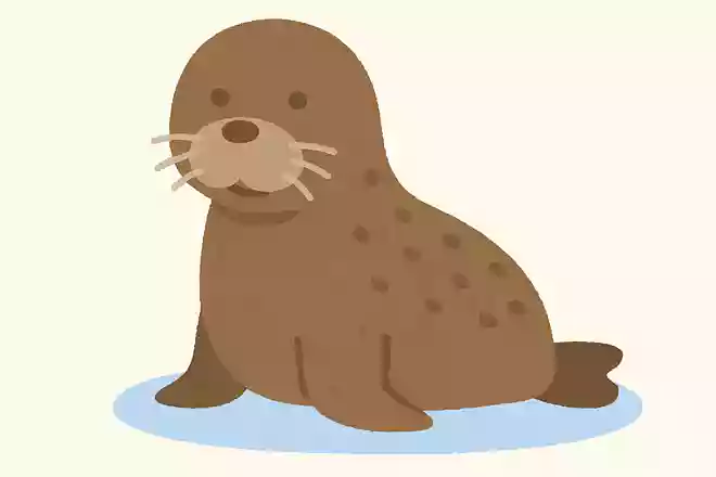 「膃肭臍」はなんの動物でしょう?