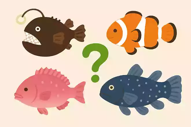 次のうち、ほんとうにいるさかなはどれでしょうか