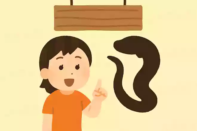 7月や8月にある、うなぎを食べる日をなんと呼ぶでしょう？
