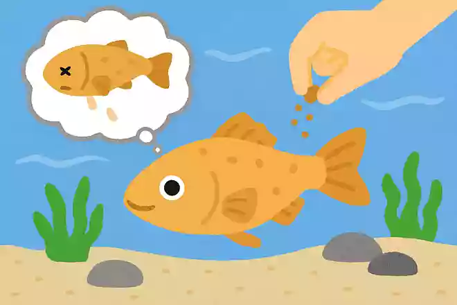 弱ったメダカを元気にする方法はある?