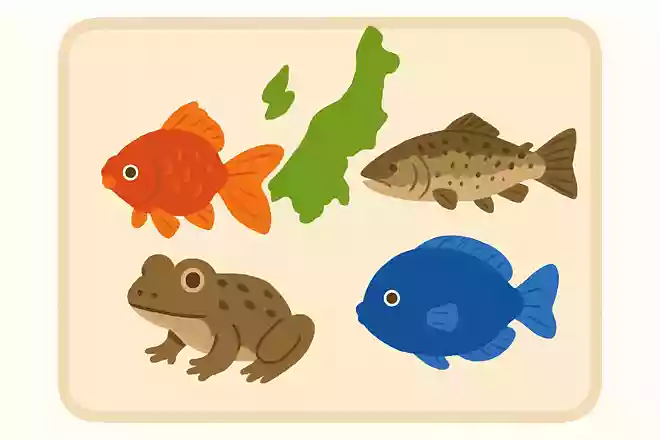 新潟県で盛んに品種改良がおこなわれた観賞魚は次のうちどれでしょう?