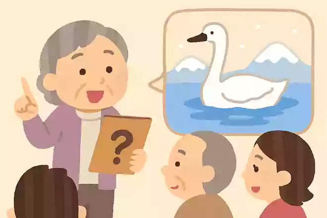 冬は日本に越冬する白鳥を見る機会があります。白鳥はなぜ水に浮いていられるのでしょうか？