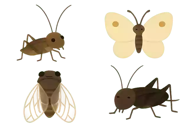 鈴虫、ちょうちょ、セミ、コオロギの中で仲間はずれはどれ?