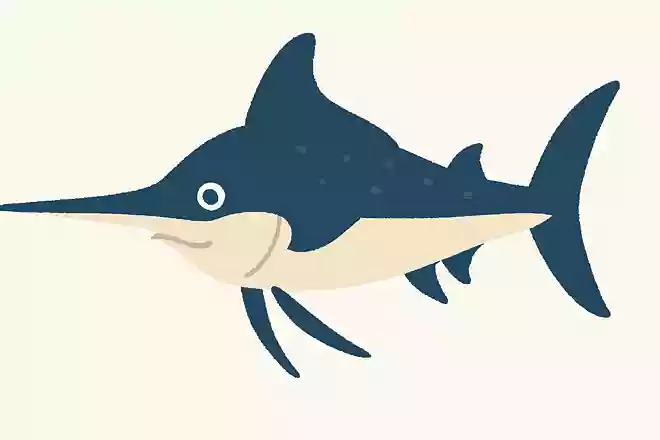 旗魚