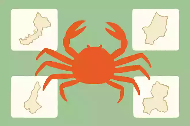 越前ガニはどこの県で獲れるカニでしょうか?