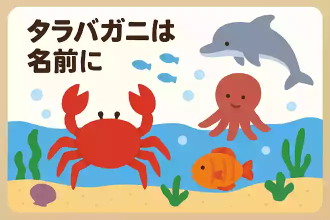 タラバガニは名前にカニとついているのに、カニではありません。何の仲間でしょうか?NEW!
