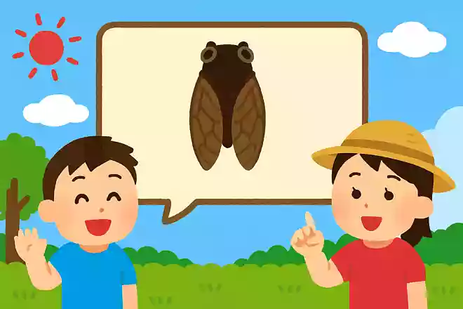 八丈島には1種類のセミしかいませんがそれはなんでしょう?NEW!