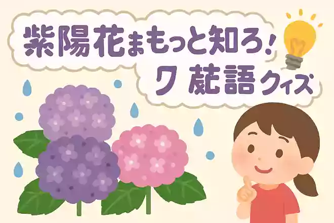 紫陽花がきれいに咲く季節はいつでしょう?NEW!