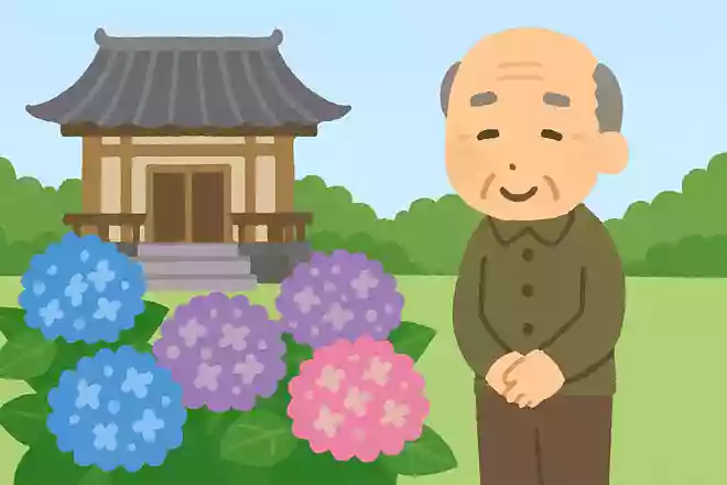 紫陽花が多くのお寺に植えられる理由は何でしょうか?