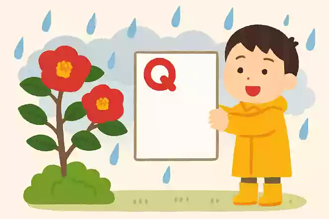 「山茶花梅雨」とはいつの時期に降る雨のことでしょう?