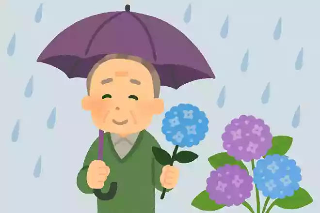 「入梅」とはいつのことを指すでしょうか?NEW!