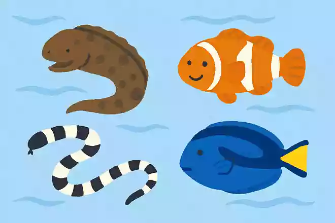 この中で毒を持つウミヘビは何でしょうか？NEW!