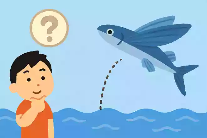 トビウオが飛ぶ距離はどれくらいでしょうか?NEW!