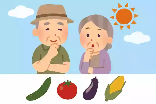種に毒があるため、食べるときに気をつけないといけない夏野菜はどれでしょうか?NEW!