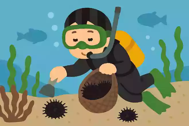 海にもぐってウニや海そうをとる仕事は何というでしょうか?NEW!