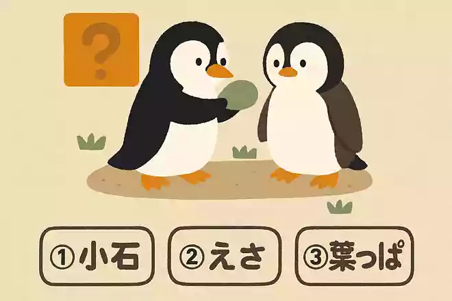 求愛行動として、オスのペンギンはメスに何を贈るでしょう?NEW!