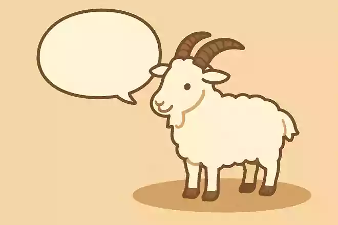 カシミヤは何の動物の毛？NEW!