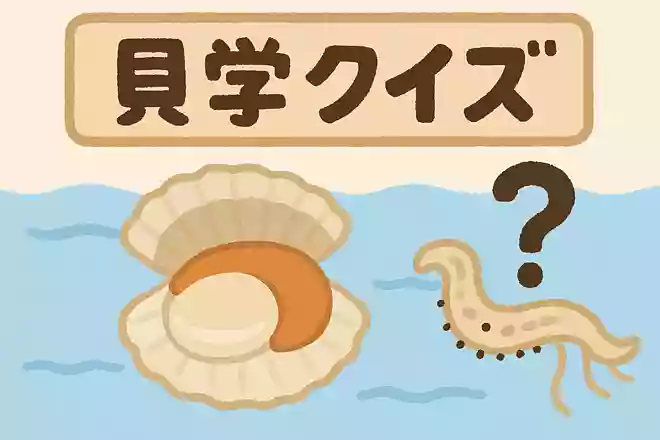 ホタテのヒモ部分にある黒い点はなんでしょうか?NEW!