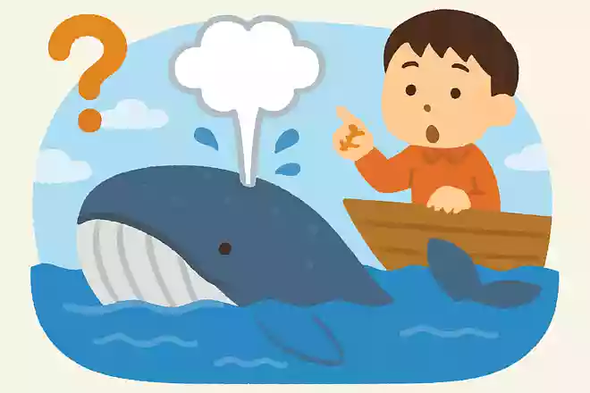 クジラはどのようにして海中で呼吸をするのでしょう？NEW!