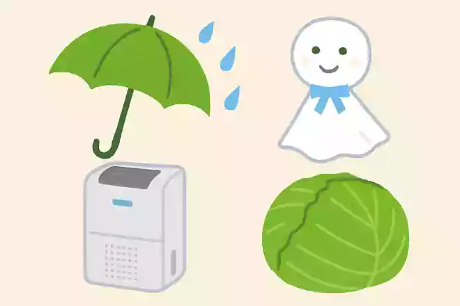 除湿効果があるものはどれでしょう?NEW!