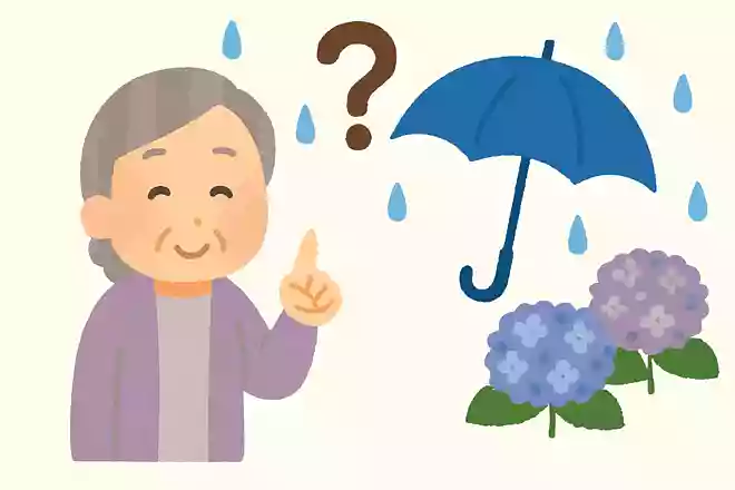 梅雨入りや梅雨明けの観測がおこなわれるようになったのはいつ頃でしょうか?