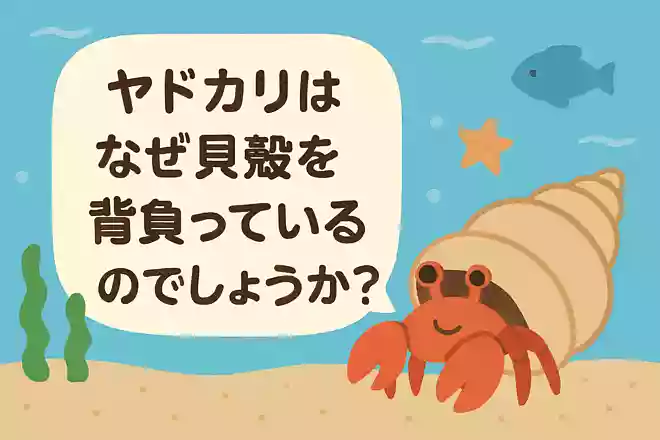 ヤドカリはなぜ貝殻を背負っているのでしょうか?NEW!
