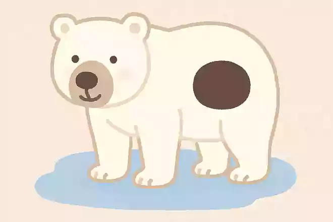 シロクマの毛の下の皮膚は何色でしょうか?NEW!