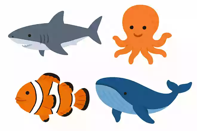 この中で一番強い海の生き物はどれでしょうか？NEW!