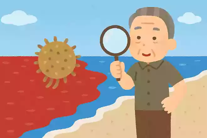 海が赤く染まる現象を「赤潮」と呼びますが、この原因となっているものは何でしょうか?NEW!